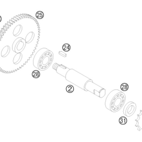 PIÑON MOTRIZ 11T 50 SX 01-08