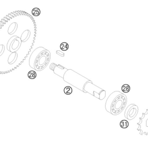 PIÑON MOTRIZ 13T 50 SX 01-08