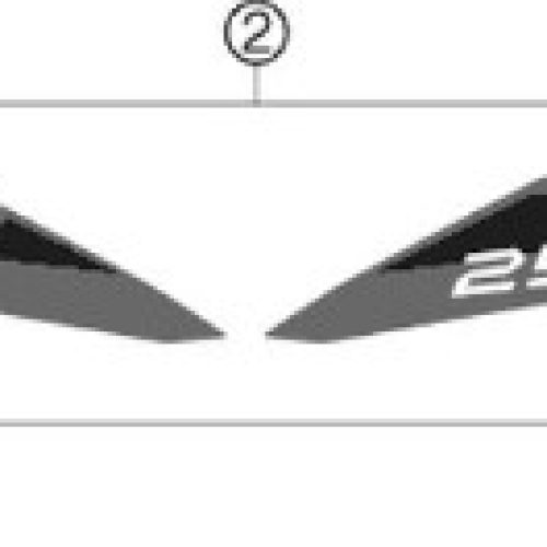 ADHESIVO POSTERIOR 250 SX