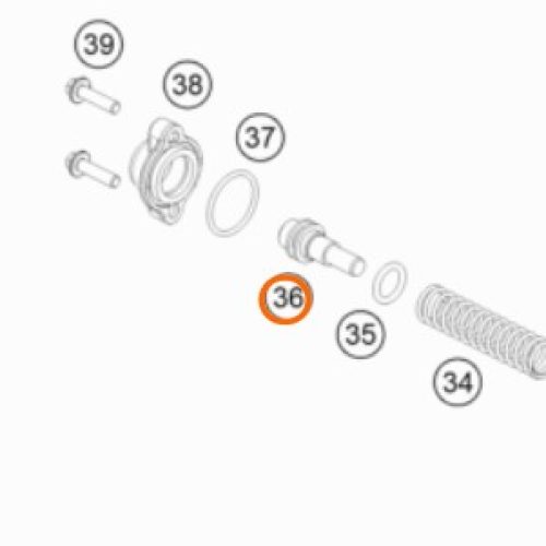 GUIA DE SIMBRA CONTROL DE ESCAPE 250/300