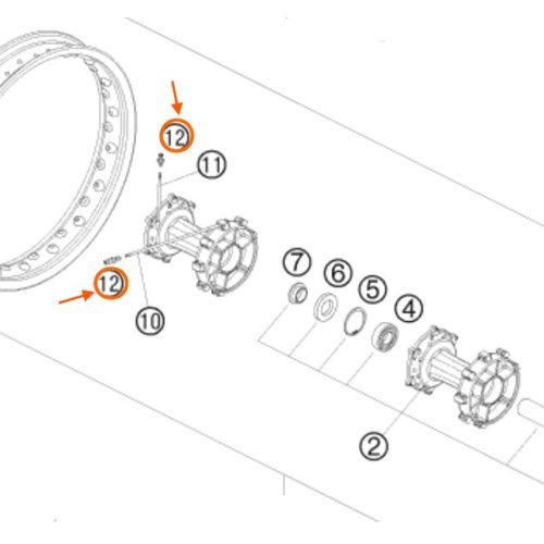 CABEZA DE RADIO POSTERIOR