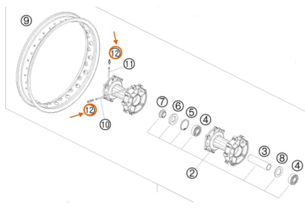 CABEZA DE RADIO POSTERIOR
