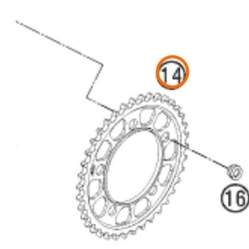 CATALINA 38T RC8/S.DUKE 05-12