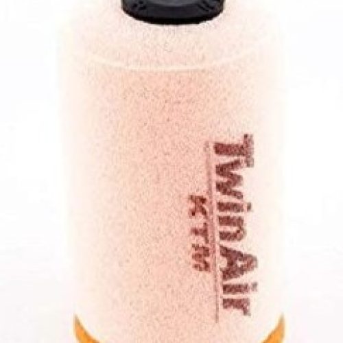 FILTRO DE AIRE FREERIDE 250 14-17