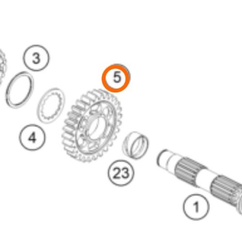 PIÑON DE 2DA 690 END 10-18
