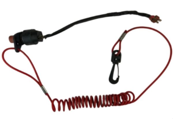 SWITCH DE HALOGENOS/ELECTROVENTILADOR - Image 2