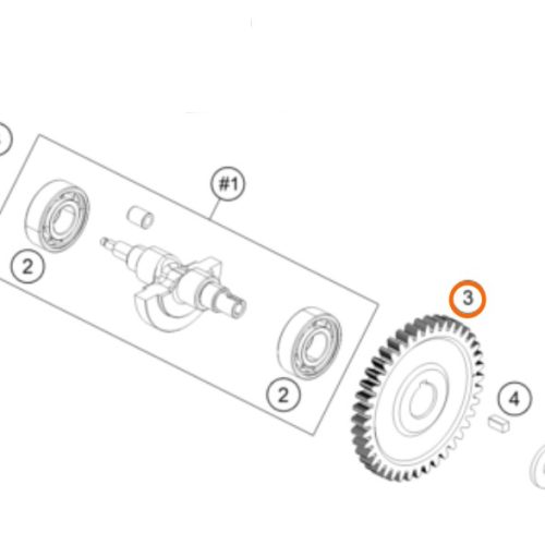 PIÑON DE EJE DE BALANZA 200 DUKE 19-20