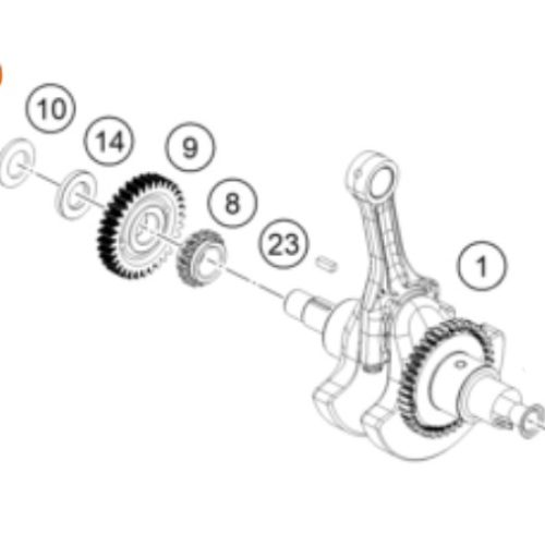 TUERCA DE CIGUENDNAL 250/390 DUKE 17-19