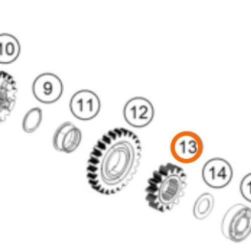 PIÑON DE 2DA 250/390 DUKE 13-19