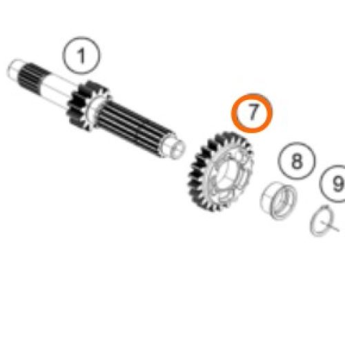 PIÑON DE 5TA 250/390 DUKE 13-19