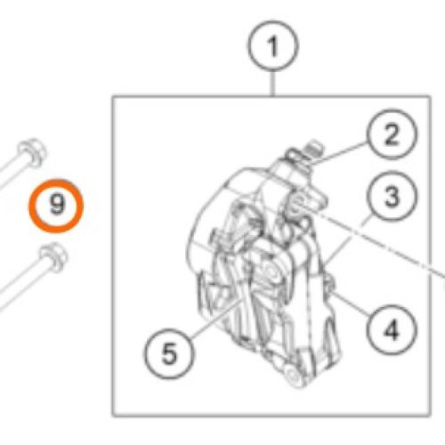 PERNO M8X50 ALLEN MORDAZA DE FRENO DUKE